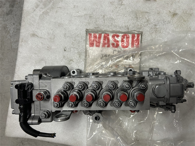 6WF1 Fuel injection Pump 116603-4202 108622-1242