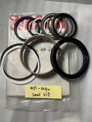 R250-7 Cylinder Seal Kit