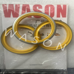 Dust Seal DWI 066-7504  0667504
