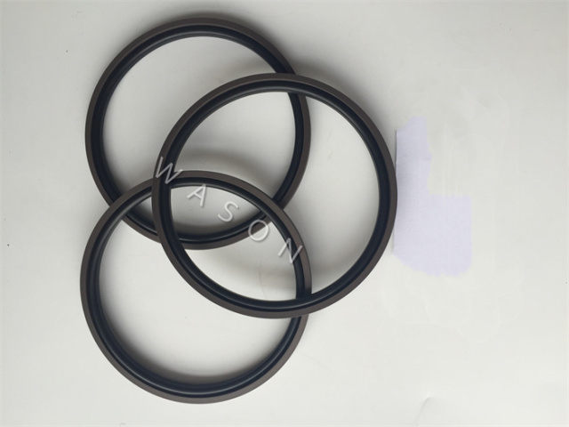 Piston  Seal SPG PTFE 4106395