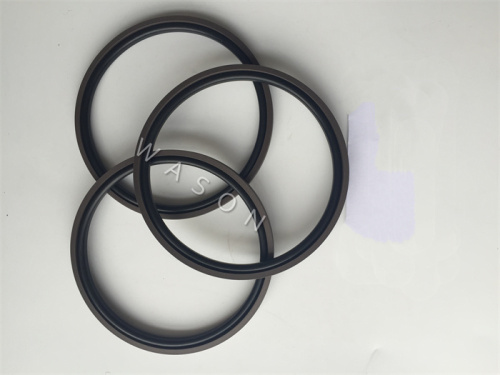Piston  Seal SPG PTFE