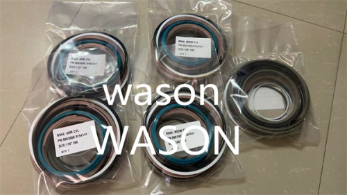 R924 Liebherr Cylinder Seal Kit