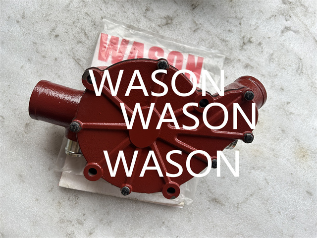 DE12T   Radiator Water Pump   65.06500-6142  65.06500-6140F