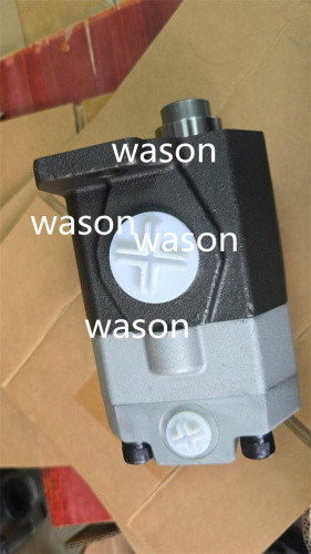 DH55,AP2D25  Hydraulic Gear Pump