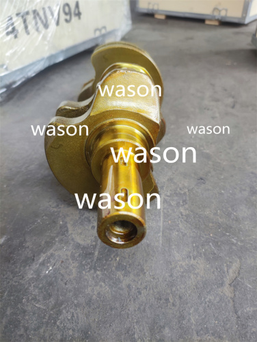 3TNV76 Crankshaft