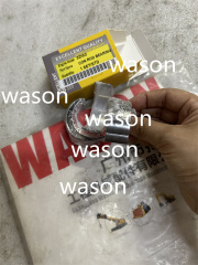 3T82 3D82  Excavator  Liner Kit