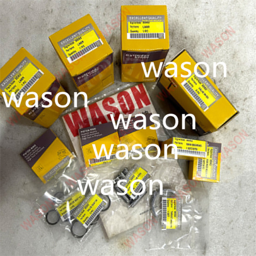 3T82 3D82  Excavator  Liner Kit