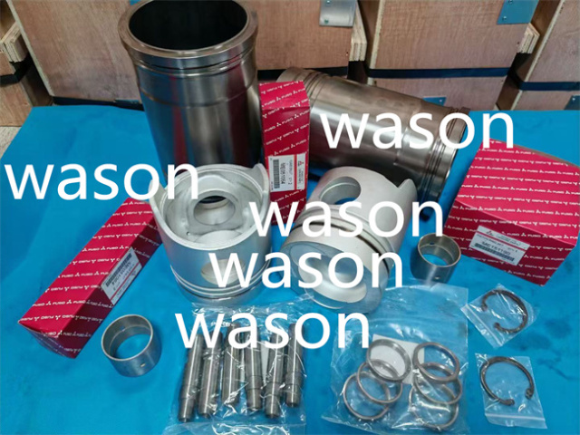 6D22 Excavator  Liner Kit