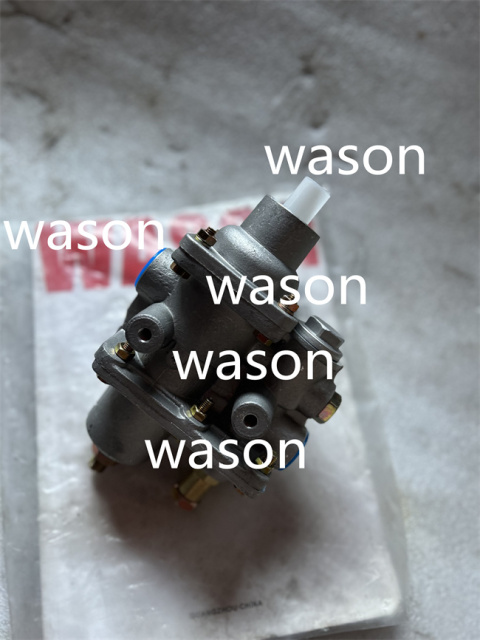 ZL30 LW300 Fuel Pump Assy 252910995