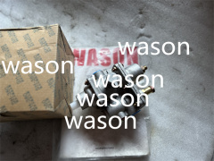 ZL30 LW300 Fuel Pump Assy 252910995