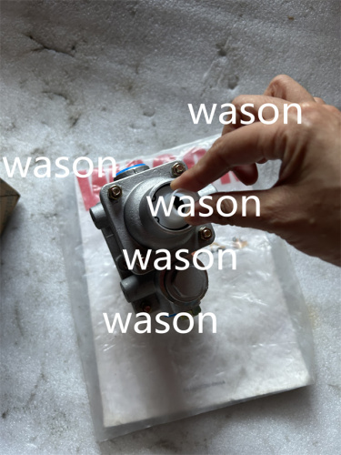 ZL30 LW300 Fuel Pump Assy 252910995