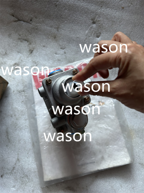 ZL30 LW300 Fuel Pump Assy 252910995