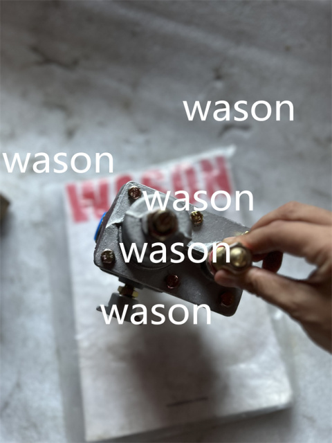 ZL30 LW300 Fuel Pump Assy 252910995