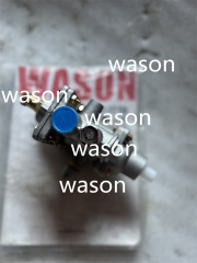 ZL30 LW300 Fuel Pump Assy 252910995