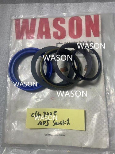 CLG922E  ADJ SEAL KIT