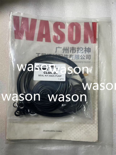 CLG922E Hydraulic Pump Seal Kit