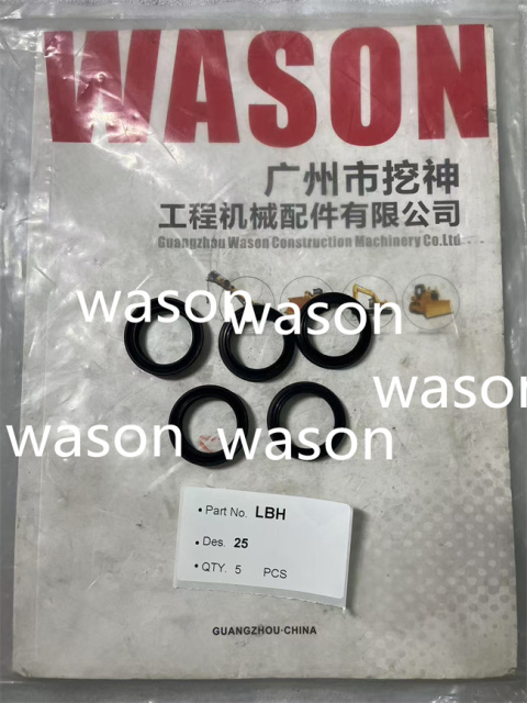 Dust Seal LBH80