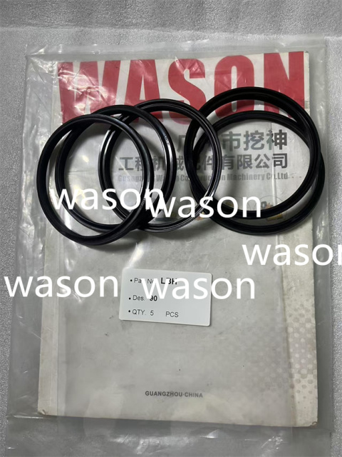 Dust Seal LBH80