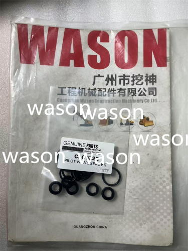 CLG922E PILOT SEAL KIT