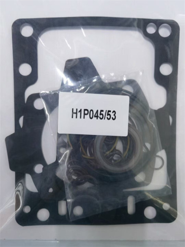 H1P045/53  Hydraulic Pump Seal Kit