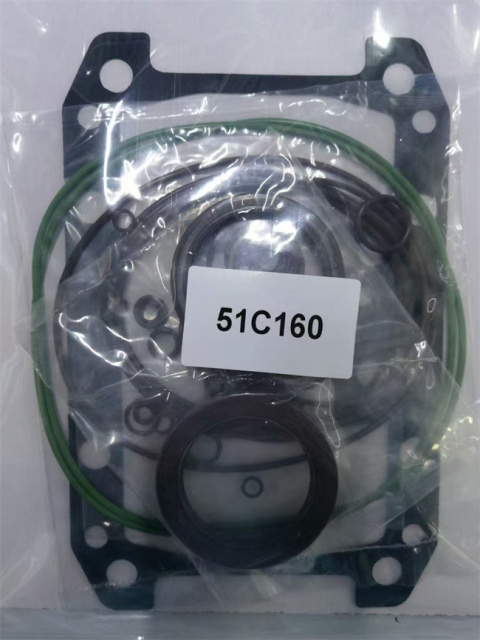 51C160 Hydraulic Pump Seal Kit