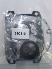51C110 Hydraulic Pump Seal Kit