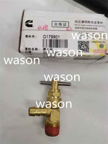 6CT8.3 Engine Valve G179901