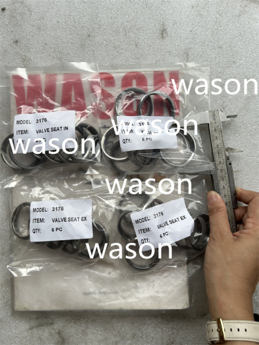 3176 Excavator Liner Kit