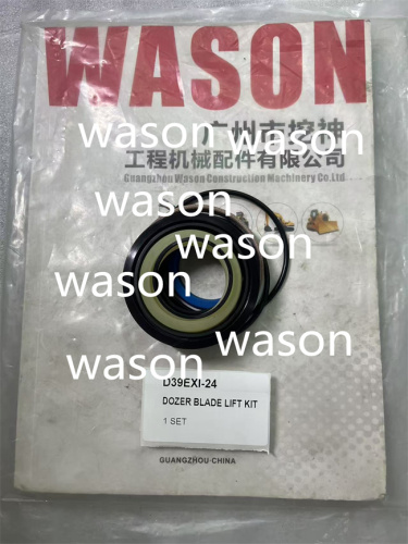 D39EXI-24 Cylinder Seal Kit