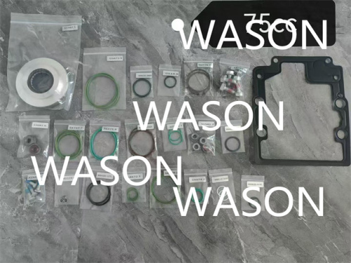 55CC 75CC  105CC PUMP KIT