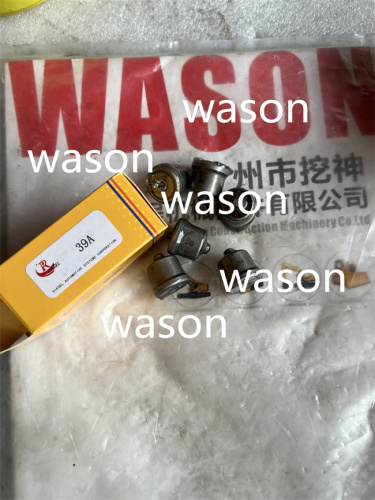 6BG1 Fuel Pump Parts Plunger Kit 101605-9830