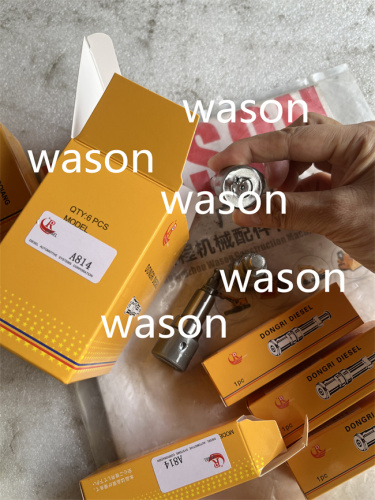 6BG1 Fuel Pump Parts Plunger Kit 101605-9830