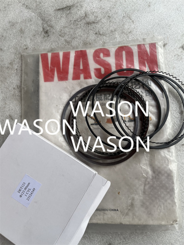 6V92 8V92 Excavator Liner Kit  23524349/23524542