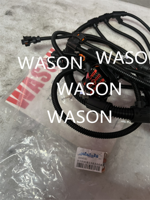 D6E EC210B Excavator Engine Harness VOE22243151