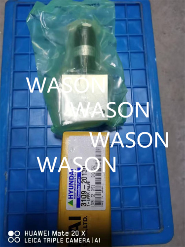 Solenoid Valve Assy 31Q9-20130