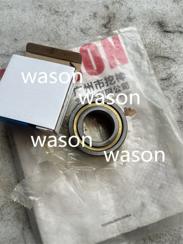 NUP220BE/2209  Bearing