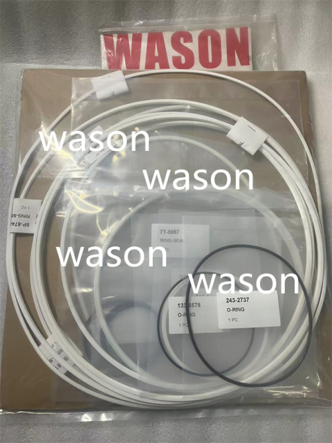 Loose SEAL 1S6515