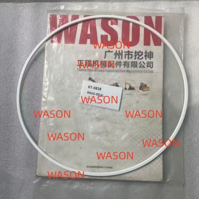 Loose SEAL 1S6515