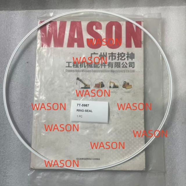 Loose SEAL 1S6515