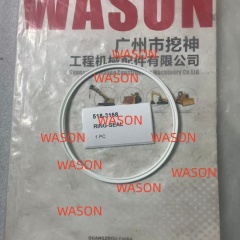 Loose SEAL 1S6515