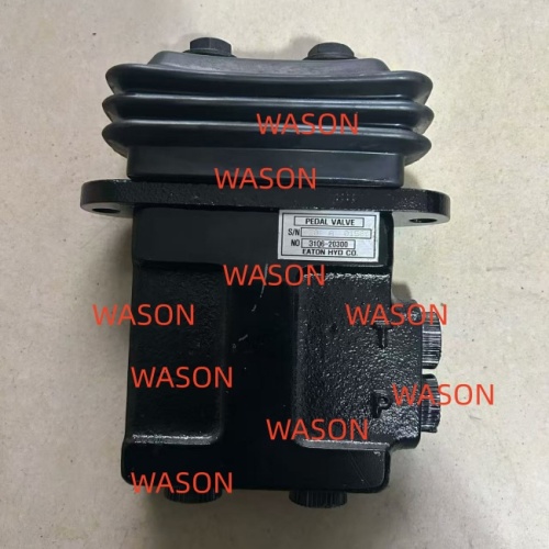 R210 Foot Assy 31Q6-20300