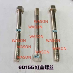 6D155 Cylinder Head Screw