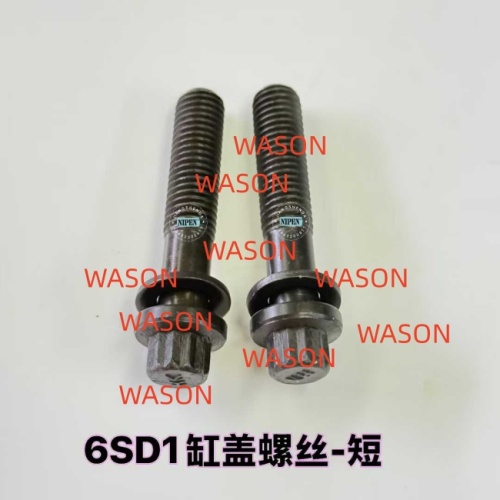 6SD1 Cylinder Head Screw 1090700431 1090700441
