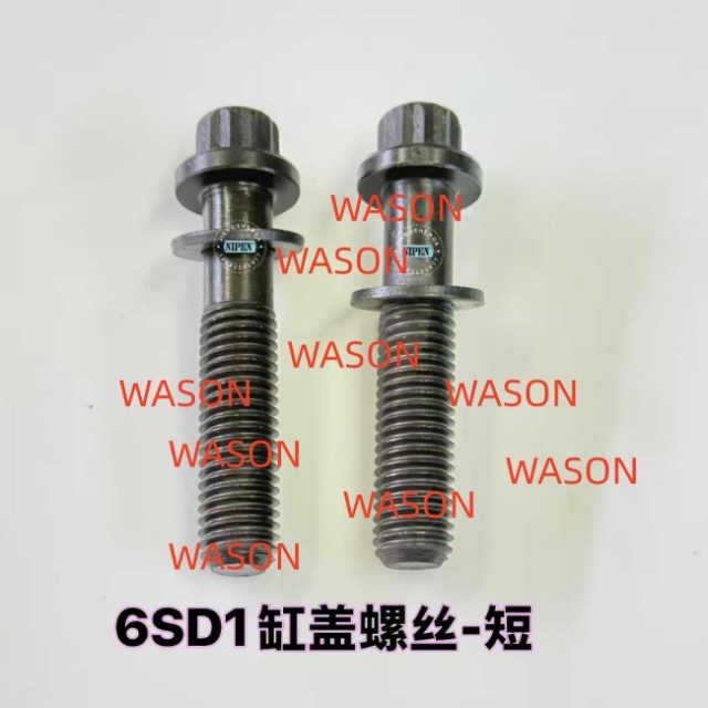 6SD1 Cylinder Head Screw 1090700431 1090700441