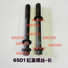 6SD1 Cylinder Head Screw 1090700431 1090700441