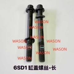 6SD1 Cylinder Head Screw 1090700431 1090700441