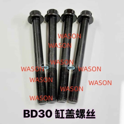 BD30 TD27 Cylinder Head Screw
