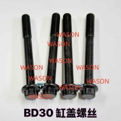 BD30 TD27 Cylinder Head Screw