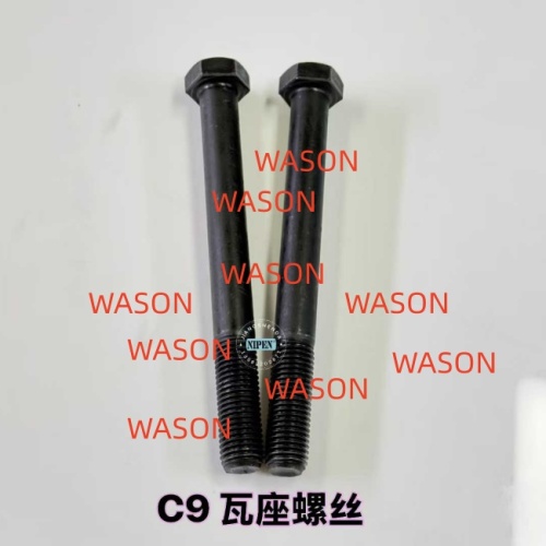 C9  Bearing Bolt Screw