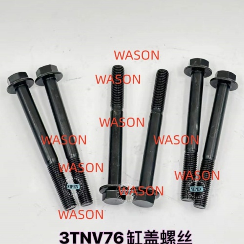 3TNV76 Cylinder Head Screw